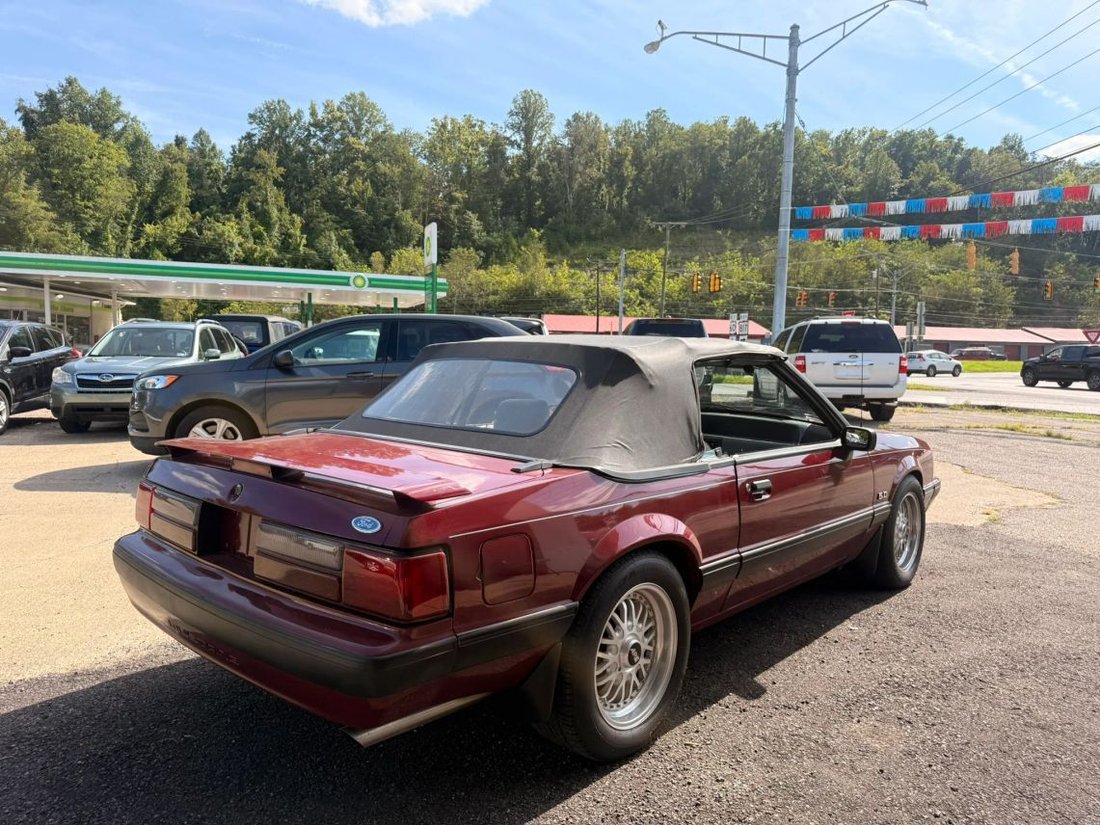 Cabriolet in Marmet, WV, United States 5 - 18721266