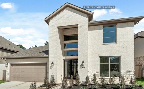 House in Houston, Texas, United States 1