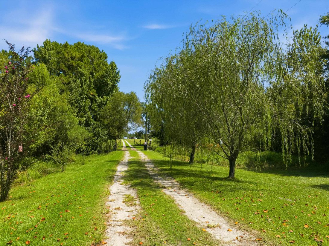 Terreno en Nichols, Carolina del Sur, Estados Unidos 4 - 18721823