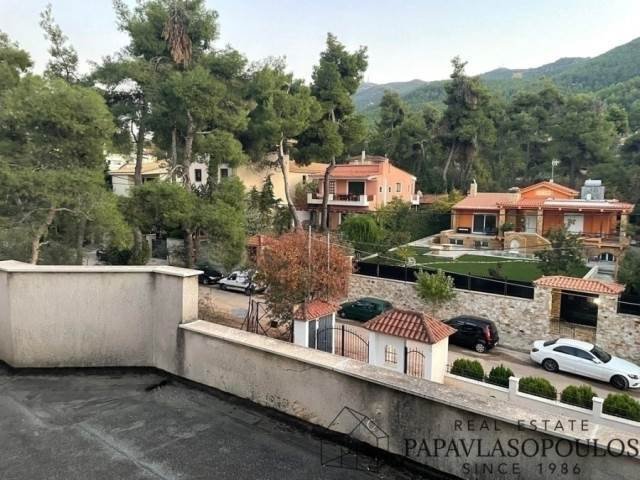 House in Dionysos, Attica, Greece 4 - 18723856