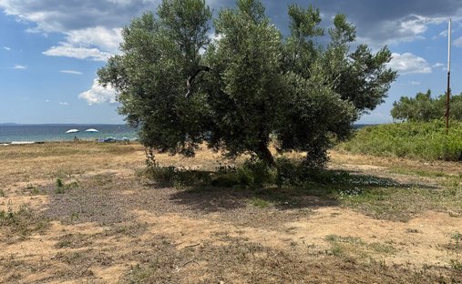 Land in Polygyros, Macedonia and Thrace, Greece 1