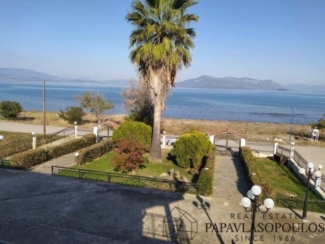 House in Central Greece, Thessaly and Central Greece, Greece 1 - 18724247