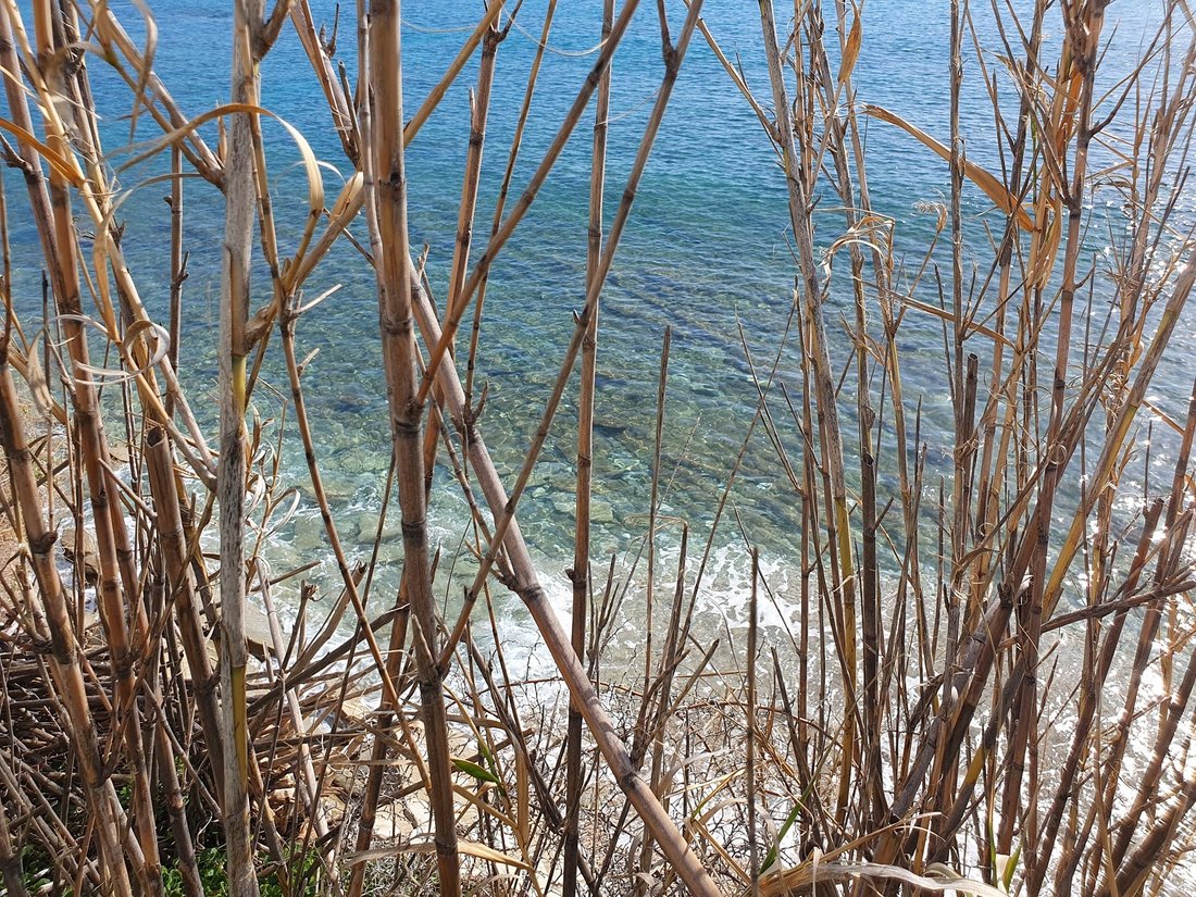 Terrain à Paros, Aegean, Grèce 5 - 18723844