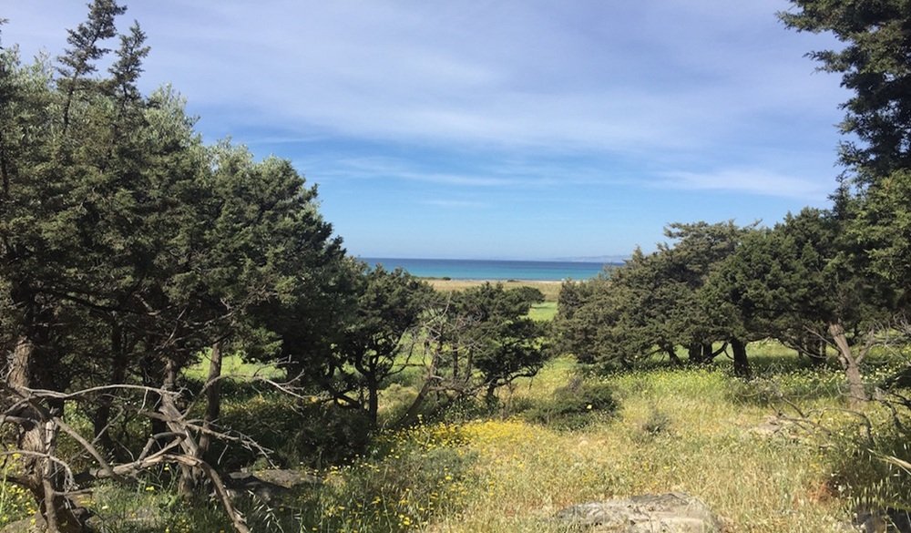 Terreno a Nasso, Aegean, Grecia 4 - 18724467