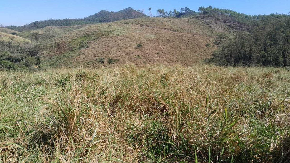 Rancho en Resende, Areias, Brasil 5 - 18726952