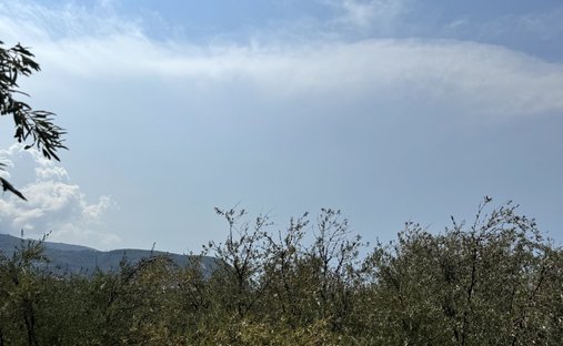 Land in Sminos Municipal Unit, Peloponnese, Western Greece and the Ionian, Greece 1