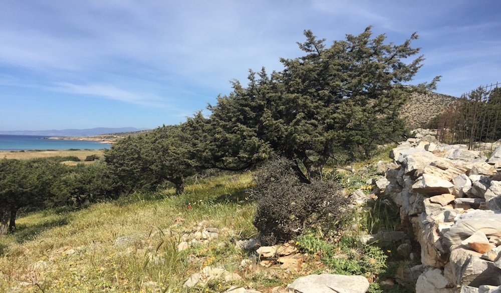 Terreno a Nasso, Aegean, Grecia 5 - 18724467