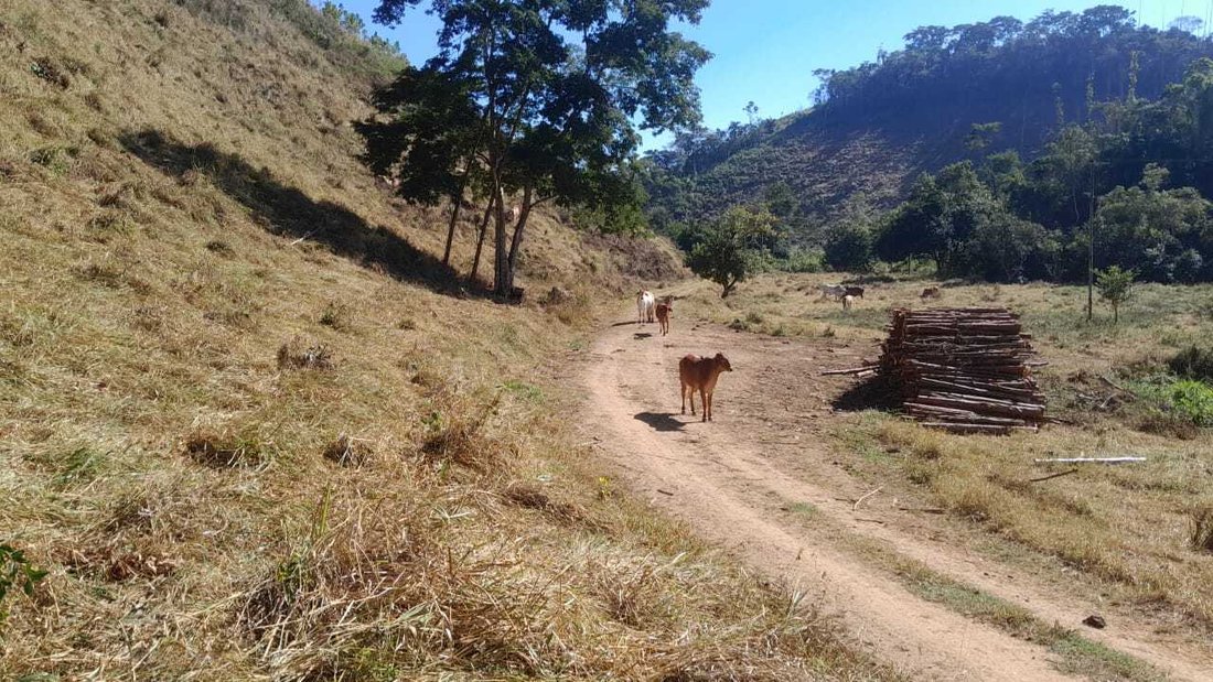 Rancho en Resende, Areias, Brasil 3 - 18726952