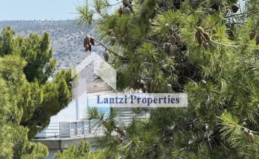 Domaine en South Athens, Attique, Grèce 1