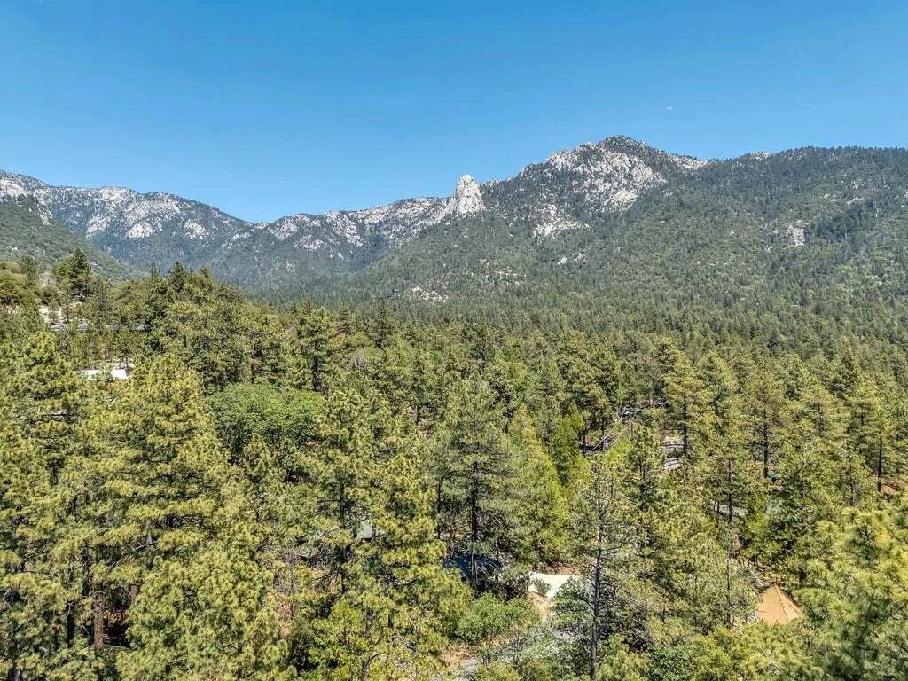 Haus in Idyllwild-Pine Cove, Kalifornien, Vereinigte Staaten 5 - 18727165
