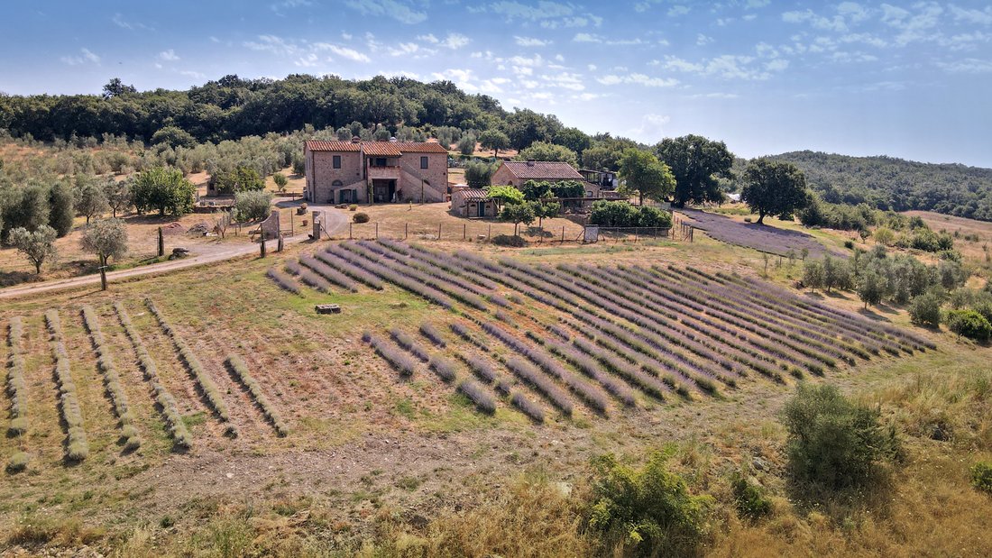 Farm Ranch in Gavorrano, Tuscany, Italy 1 - 18721827
