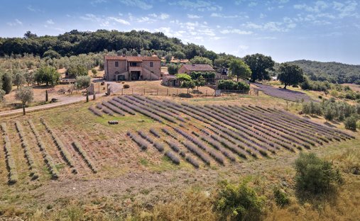 Farm Ranch in Gavorrano, Tuscany, Italy 1