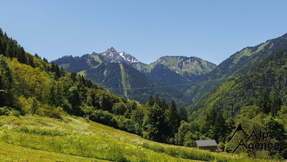 Chalet in Saint-Jean-d'Aulps, Auvergne-Rhône-Alpes, France 3 - 16504721