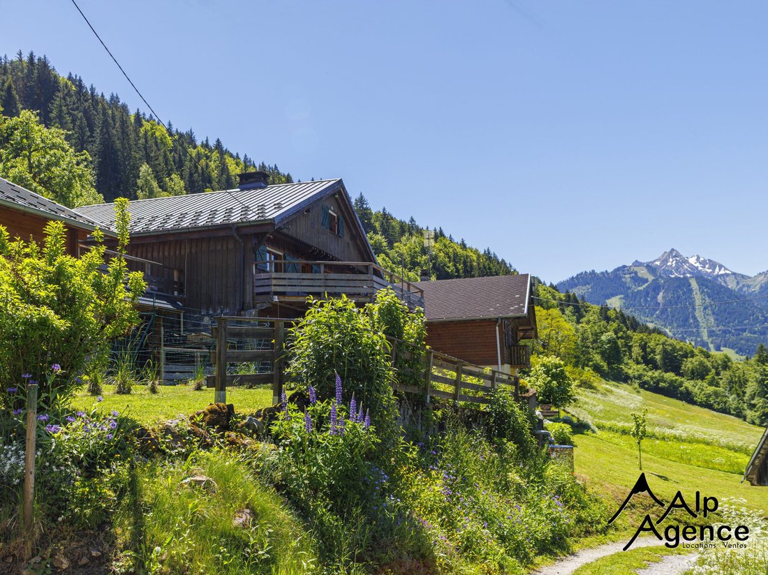 Chalet in Saint-Jean-d'Aulps, Auvergne-Rhône-Alpes, France 1 - 16504721