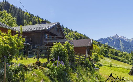 Chalet in Saint-Jean-d'Aulps, Auvergne-Rhone-Alpen, Frankreich 1