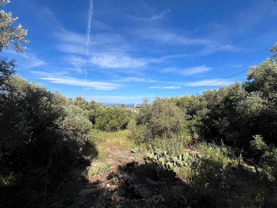 Terreno a La Ciotat, Provenza-Alpi-Costa Azzurra, Francia 1 - 15768119