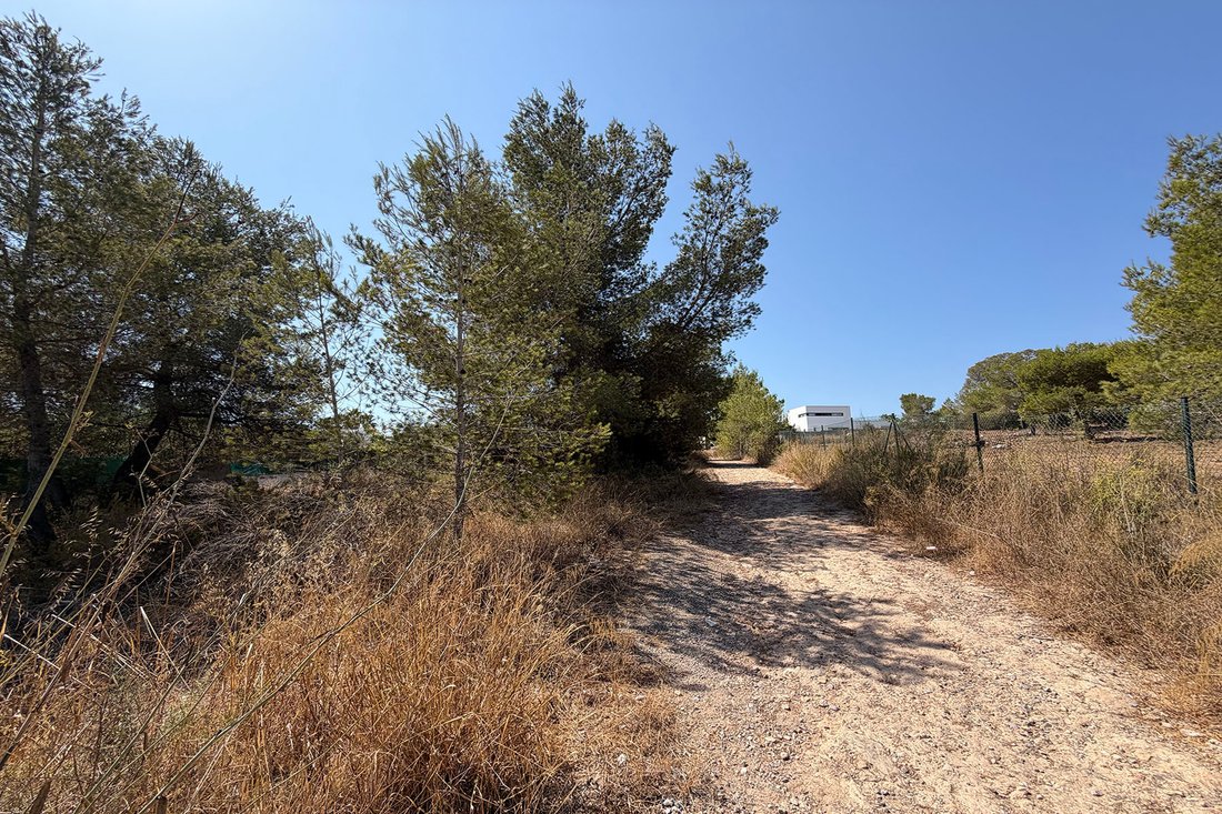 Land in Sant Josep de sa Talaia, Balearische Inseln, Spanien 5 - 18730636