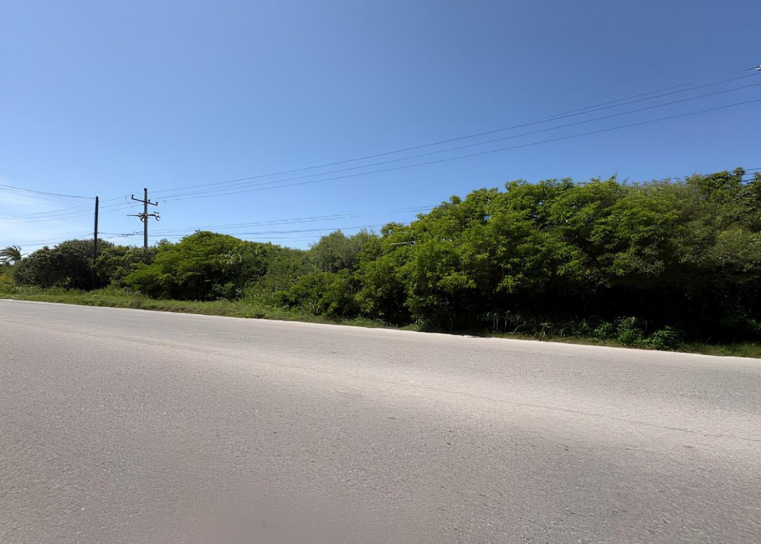 Terreno a San Bruno, Yucatán, Messico 3 - 18731069