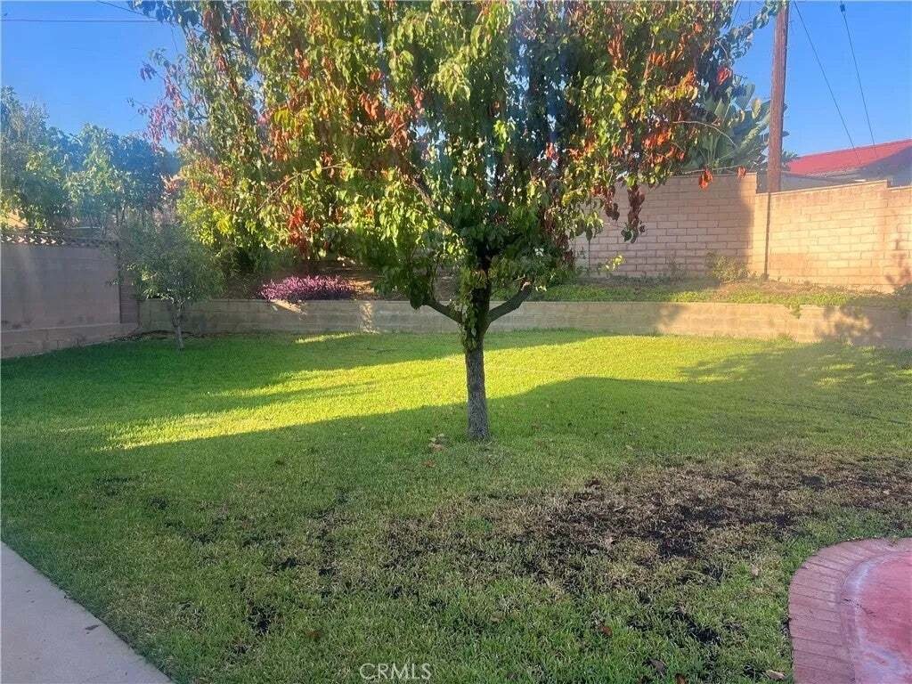 House in Brea, California, United States 4 - 18730036