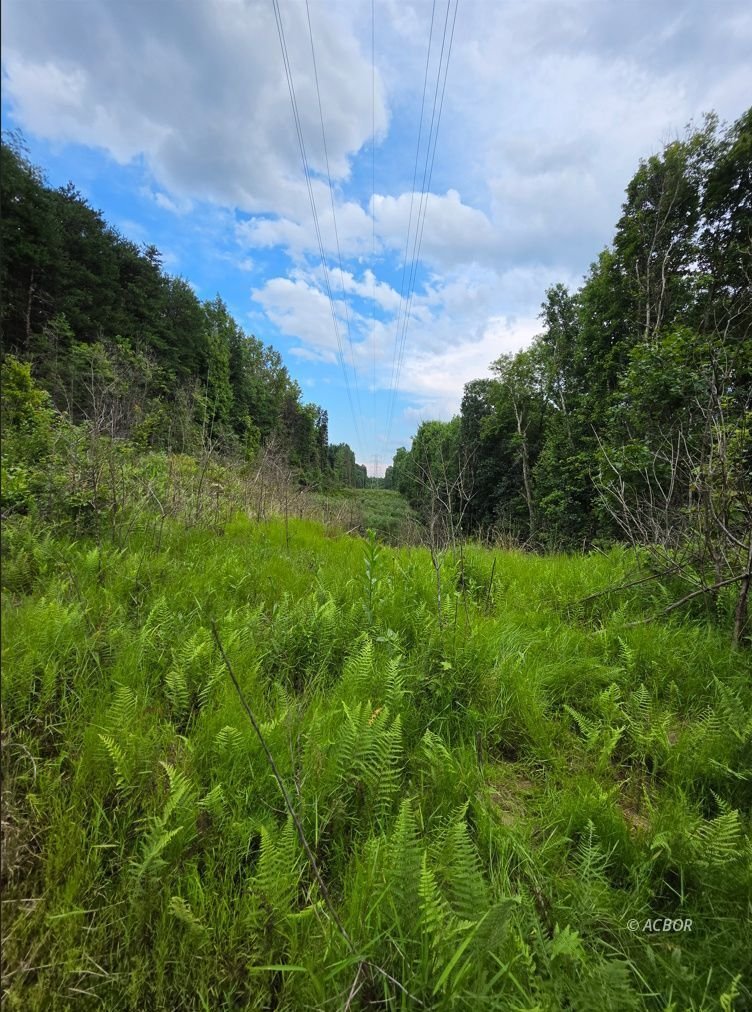 Terrain à Rutland, Ohio, États-Unis 3 - 18730201