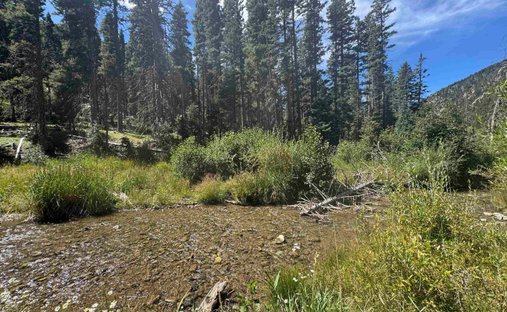 Terrain à Taos Ski Valley, Nouveau-Mexique, États-Unis 1