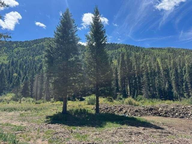 Land in Taos Ski Valley, New Mexico, United States 3 - 17431453