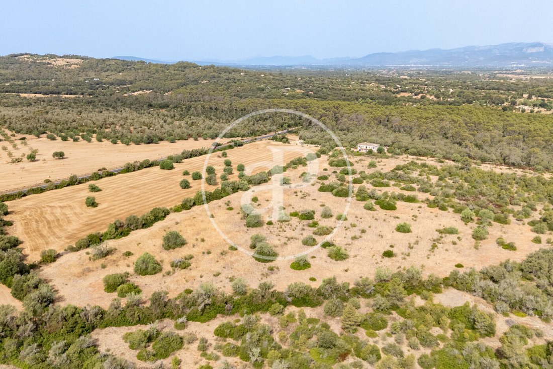 Maisons de campagne à Sineu, Îles Baléares, Espagne 1 - 18730434