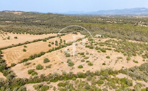 Country House in Sineu, Balearic Islands, Spain 1