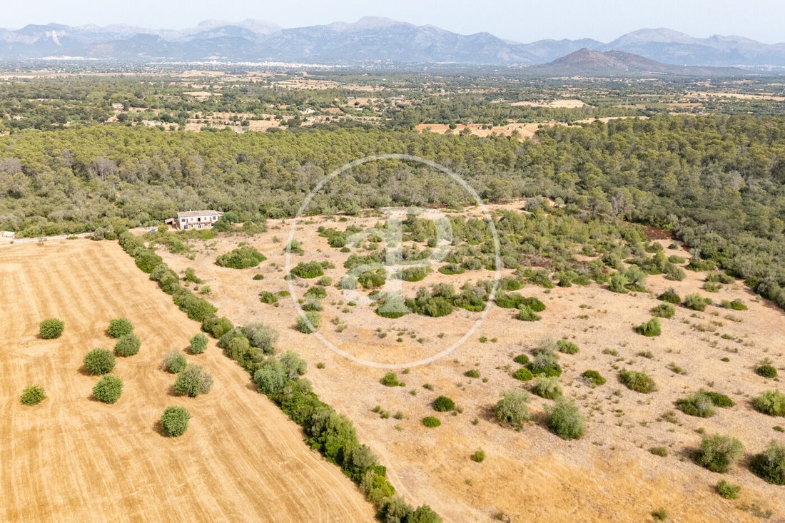 Maisons de campagne à Sineu, Îles Baléares, Espagne 3 - 18730434