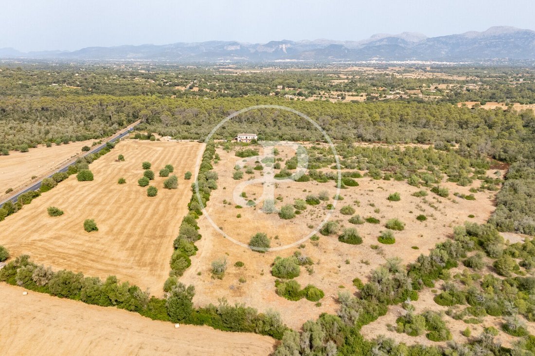 Maisons de campagne à Sineu, Îles Baléares, Espagne 2 - 18730434