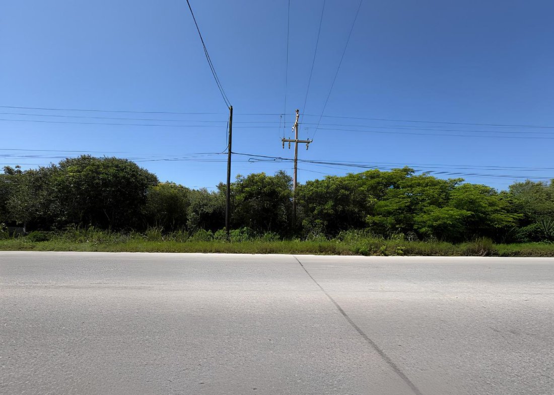 Terreno a San Bruno, Yucatán, Messico 5 - 18731069