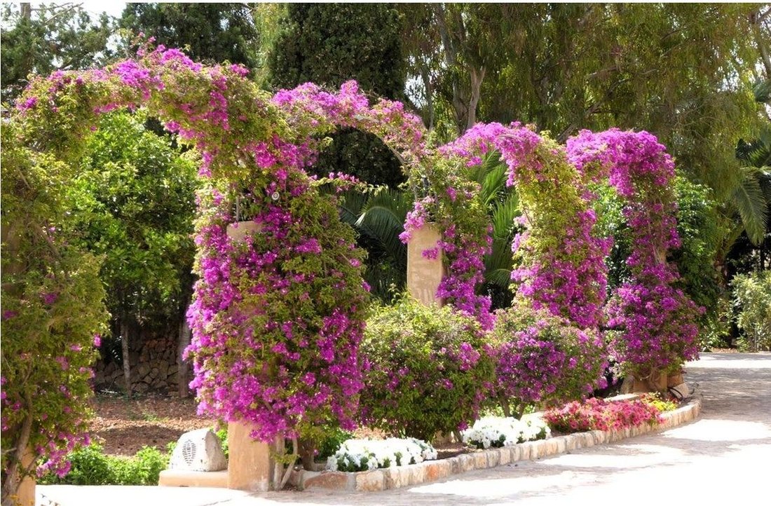 Campos, Balearic Islands, Spain 4 - 18730379