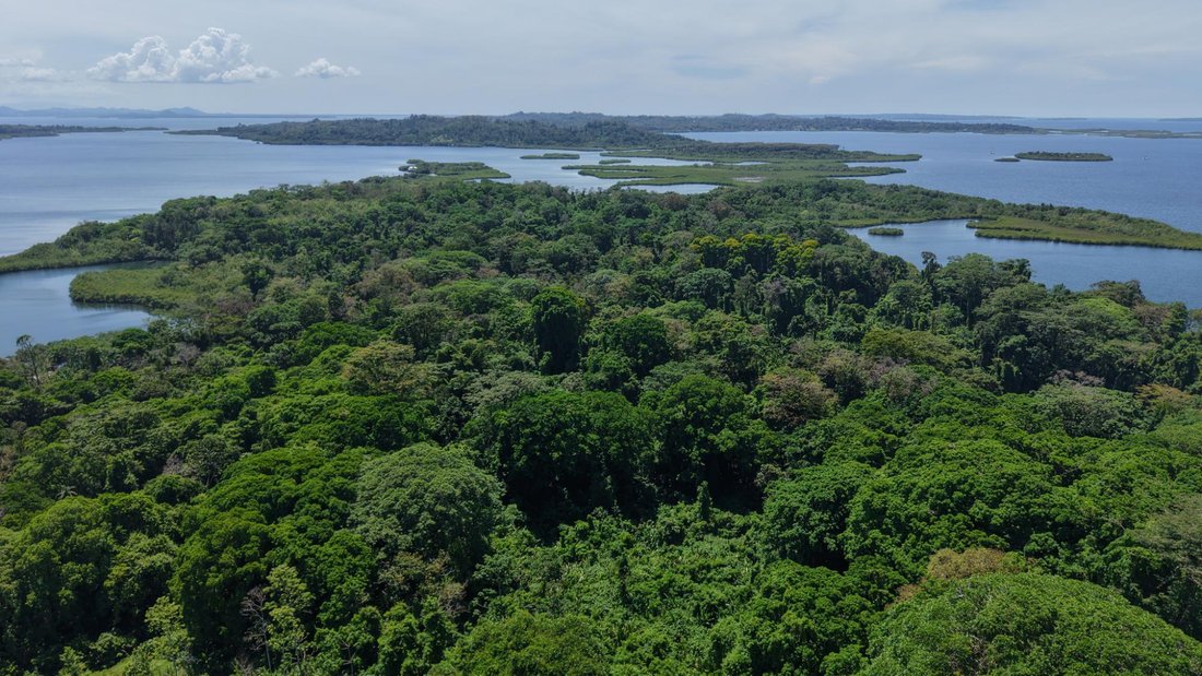 Terreno a Valle de Agua Arriba, Provincia di Bocas del Toro, Panamá 3 - 18730185