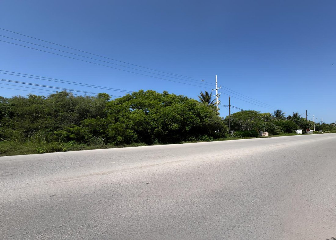 Terreno a San Bruno, Yucatán, Messico 4 - 18731069