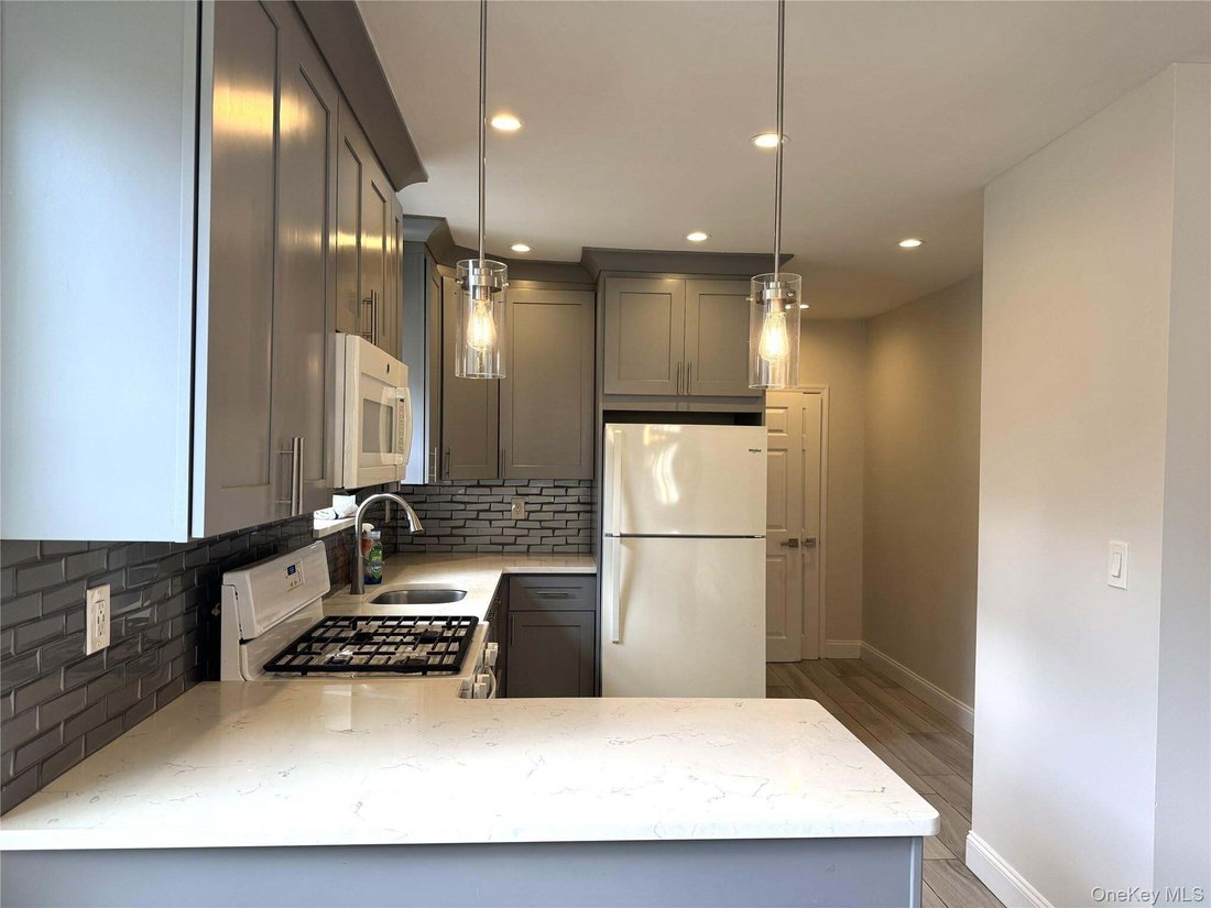 House in New York, New York, United States 5 - 17996009