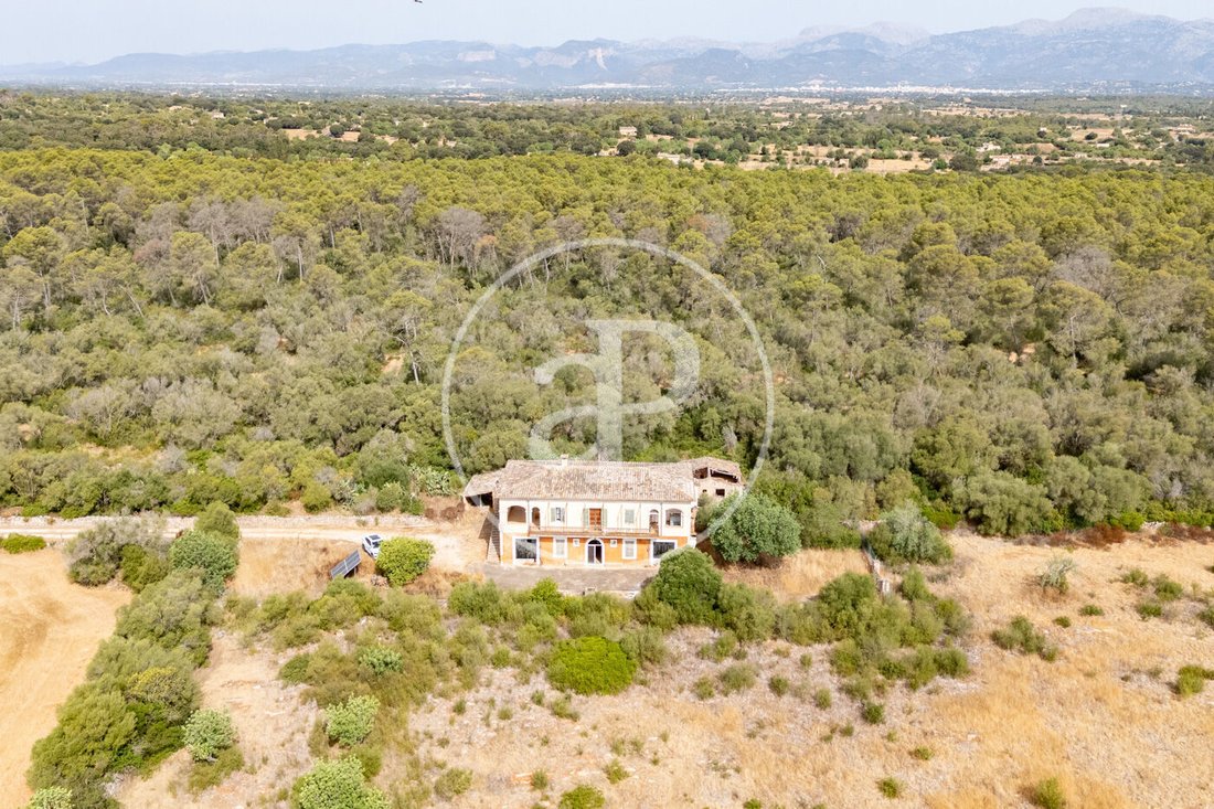 Maisons de campagne à Sineu, Îles Baléares, Espagne 5 - 18730434