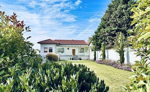 Haus in Mönchhof, Burgenland, Österreich 1