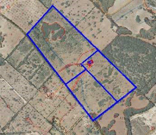Land in Manacor, Balearic Islands, Spain 2 - 18731118