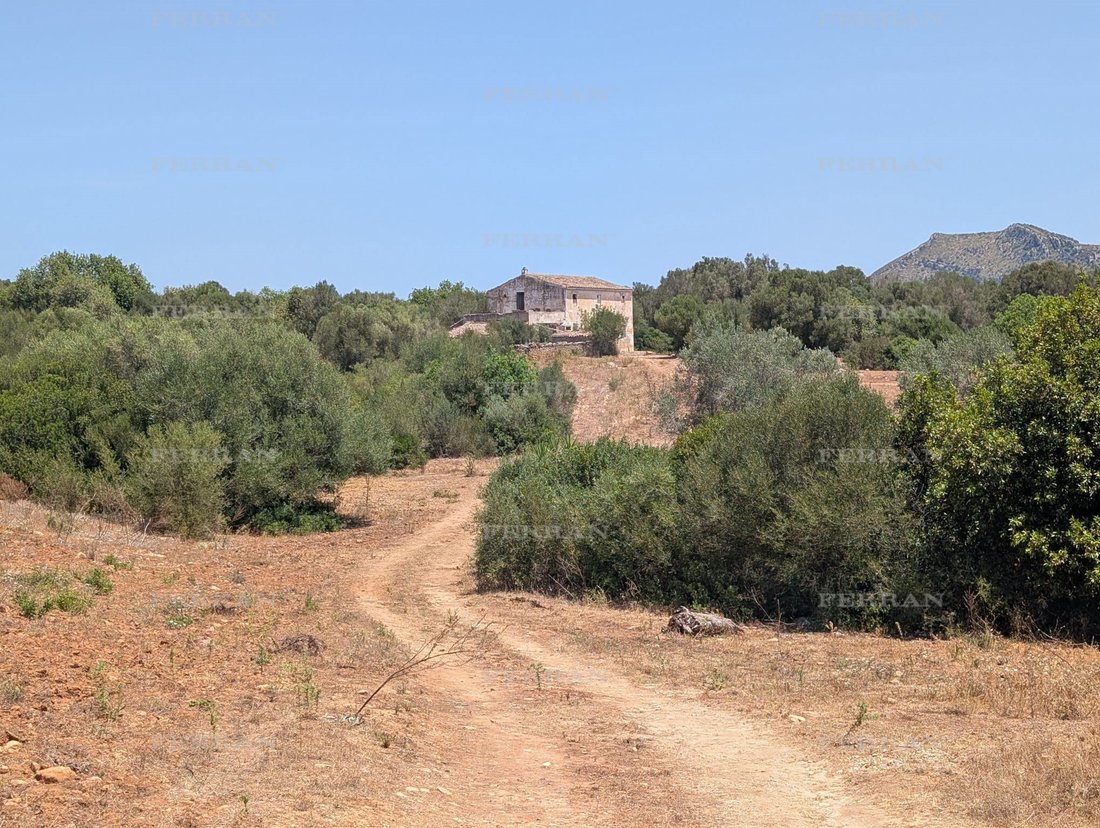 Land in Manacor, Balearic Islands, Spain 1 - 18731118