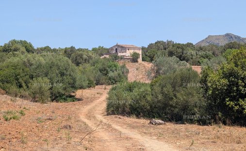 Terreno en Manacor, Islas Baleares, España 1