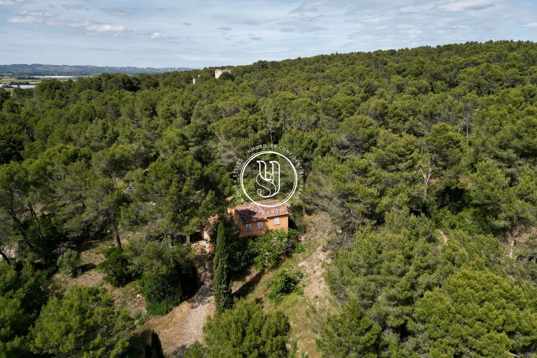 Villa à Saint-Rémy-de-Provence, Provence-Alpes-Côte d'Azur, France 4 - 18730477