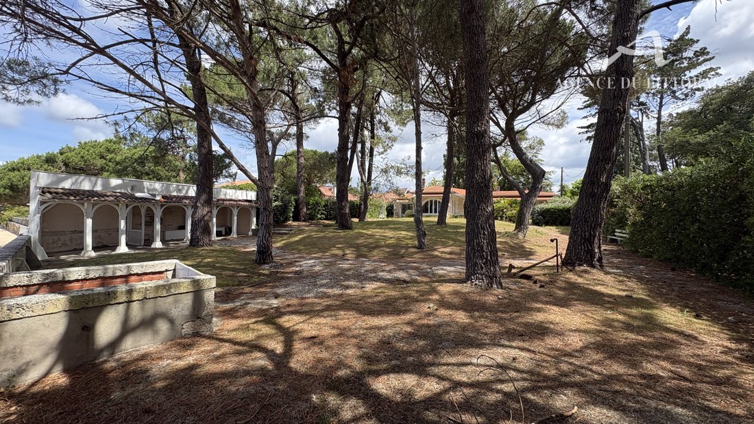 House in Nord Est, Andernos-les-Bains, France 3 - 18731013