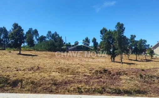 Terrain à Alpendorada, Varzea e Torrao, District de Porto, Portugal 1