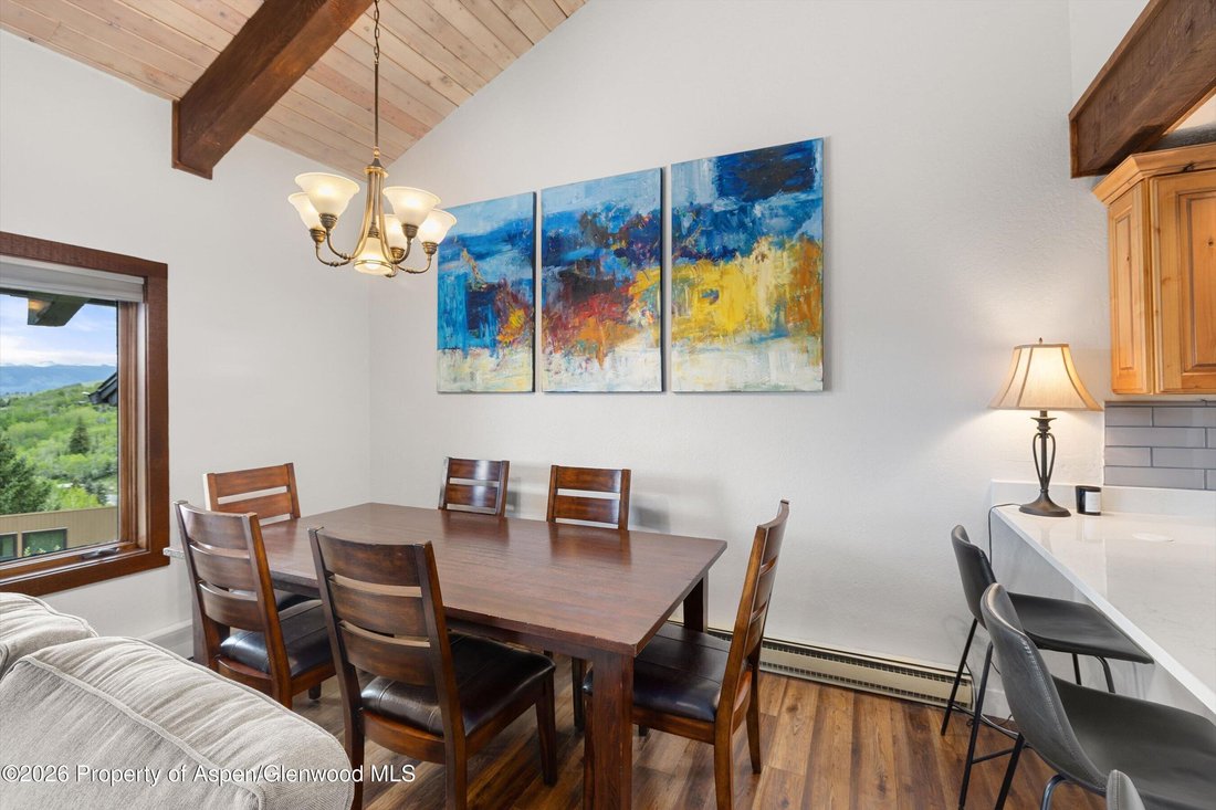 Condo in Snowmass Village, Colorado, United States 4 - 18731046