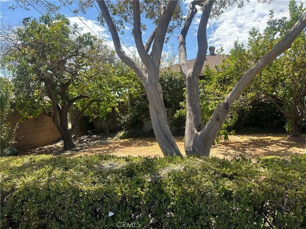 Altro a Monterey Park, California, Stati Uniti 2 - 18729995