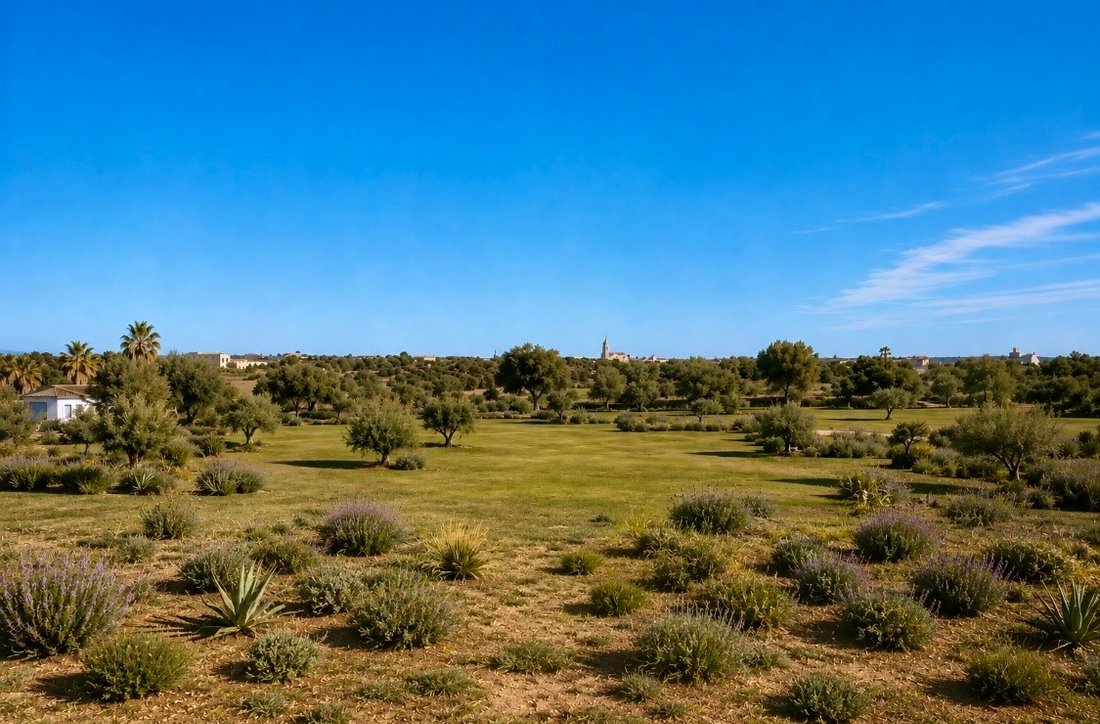 Finca a Ses Salines, Isole Baleari, Spagna 4 - 18731458