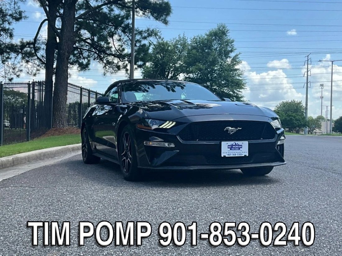 Cabriolet in Collierville, TN, United States 3 - 18731280