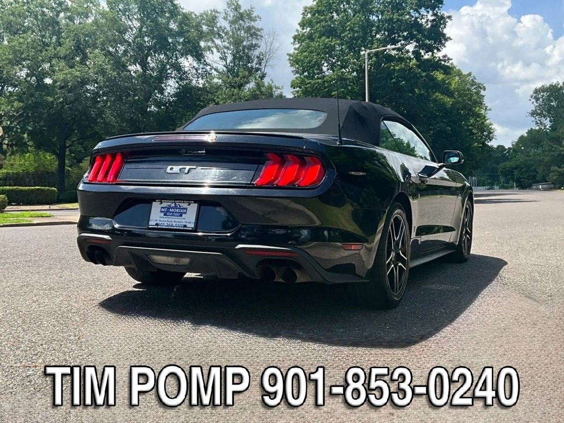 Cabriolet in Collierville, TN, United States 5 - 18731280
