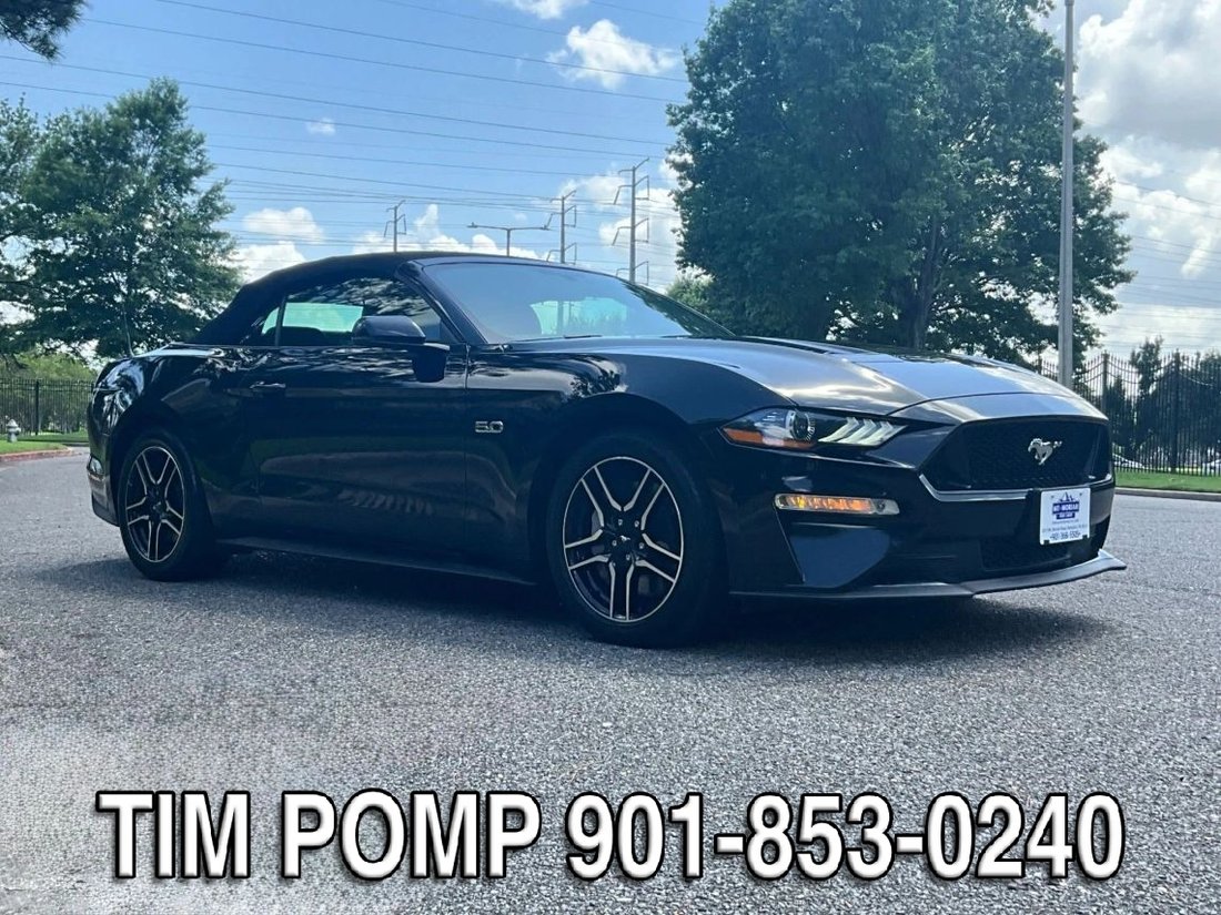 Cabriolet in Collierville, TN, United States 4 - 18731280