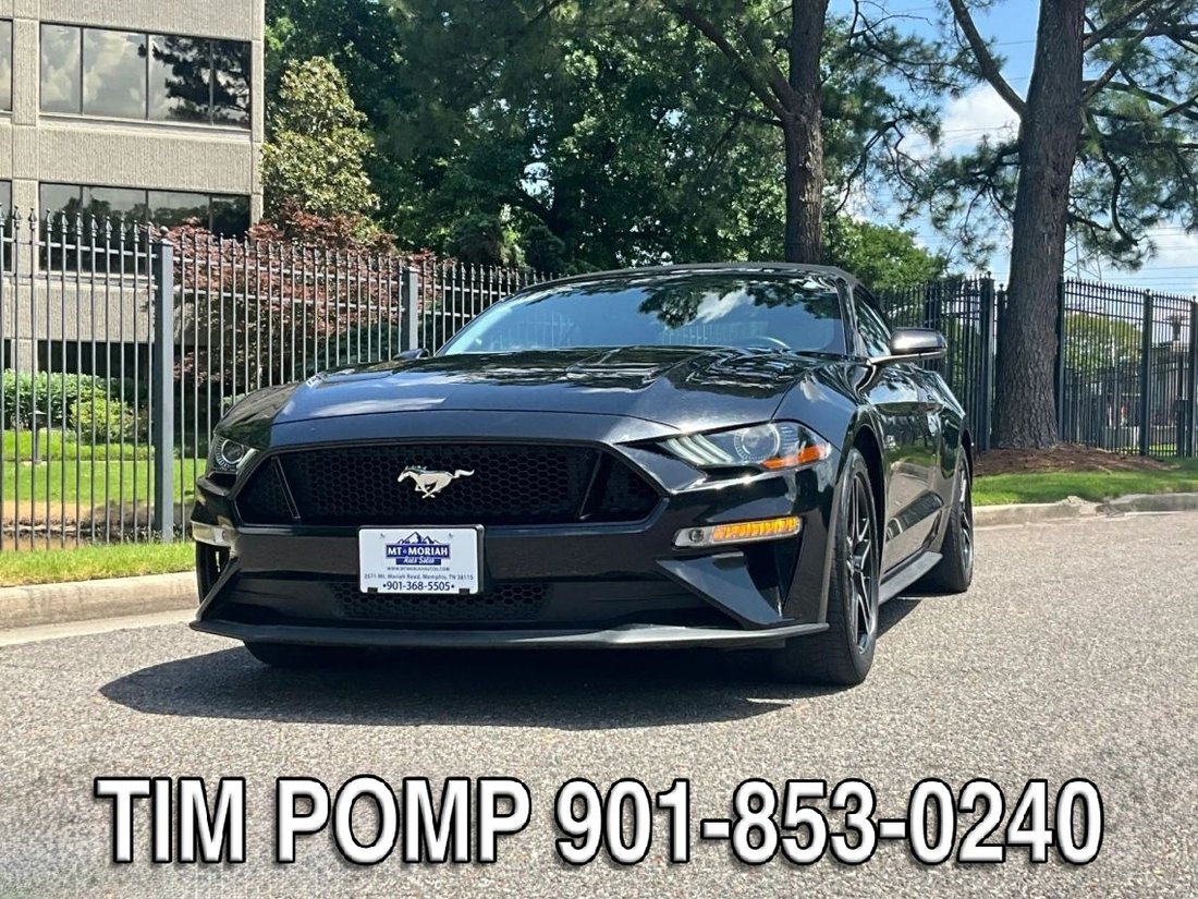 Cabriolet in Collierville, TN, United States 2 - 18731280